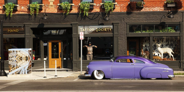 Photograph Larry Hamill Parsons Ave on One Eyeland