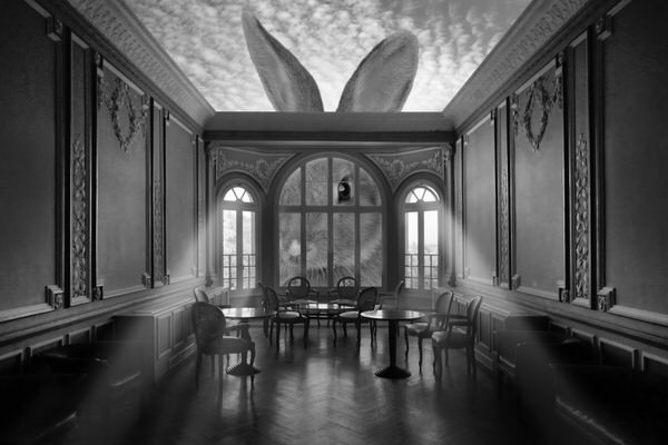 Photograph Christian Marcel In A Rabbit World on One Eyeland
