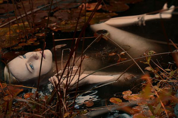 Photograph Mandy Hady Schulte Forget Me Not on One Eyeland