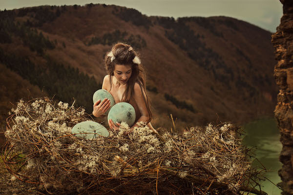 Photograph Mandy Hady Schulte The Nest on One Eyeland