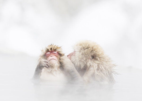 Photograph Kousuke Kitajima Hot Kiss on One Eyeland