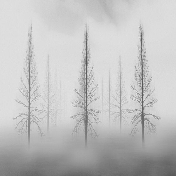 Photograph Agniribe Mada Foggy Moment on One Eyeland