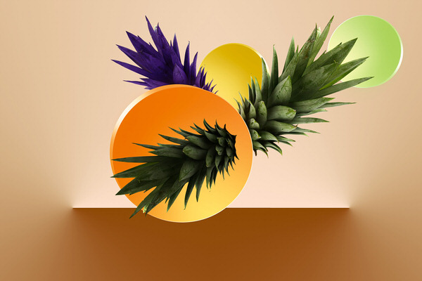 Photograph Alloys Iteba Still Life on One Eyeland