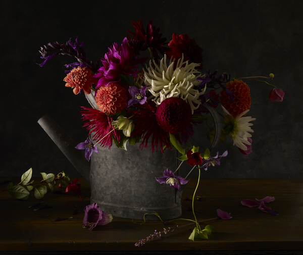 Photograph Sue Atkinson October Still Life on One Eyeland