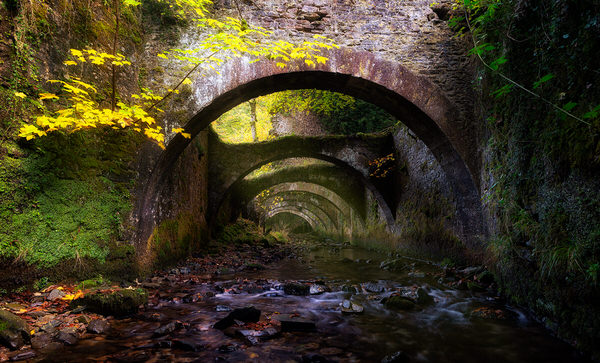 Photograph Jorge Gonzalez Herrera Abandono on One Eyeland
