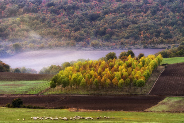 Photograph Jorge Gonzalez Herrera Lugares on One Eyeland