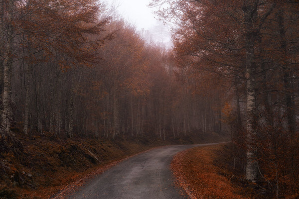 Photograph Jorge Gonzalez Herrera Red Road on One Eyeland