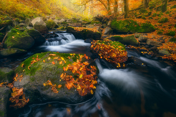 Photograph Zsolt Andras Szabo Fall In Doriath on One Eyeland