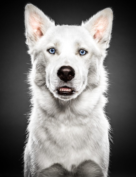 Photograph Dana Hursey Azzurro on One Eyeland