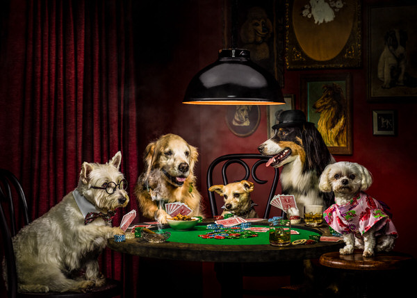 Photograph Dana Hursey Dogs Playing Poker on One Eyeland