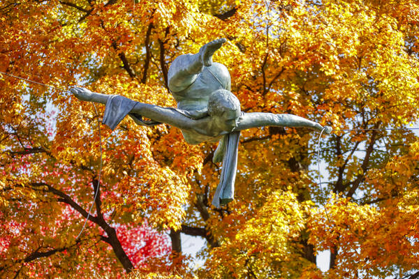 Photograph Larry Hamill Acrobat on One Eyeland