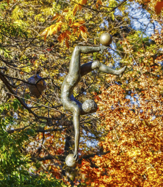 Photograph Larry Hamill Balance on One Eyeland