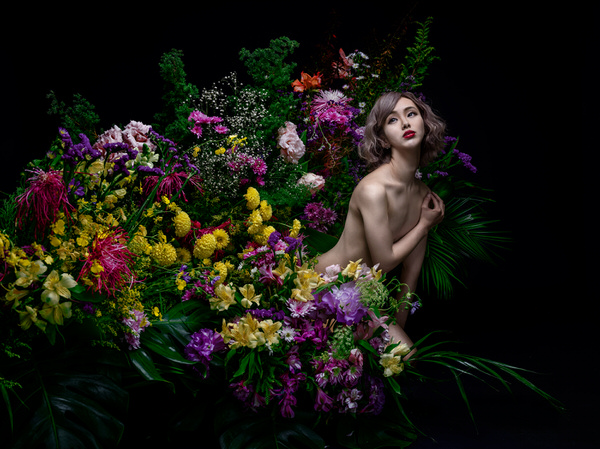 Photograph Haseo Hasegawa Chrysanthemum on One Eyeland
