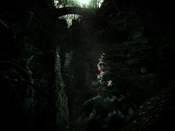 Photograph Haseo Hasegawa Crow on One Eyeland