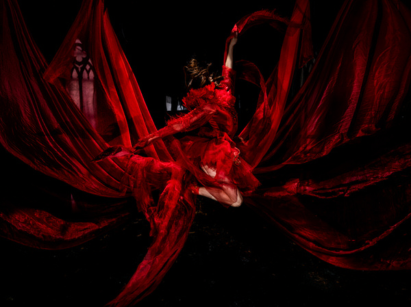 Photograph Haseo Hasegawa Red Crow on One Eyeland