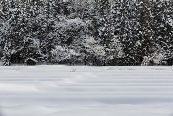 Photograph Kousuke Kitajima Snow Pattern on One Eyeland