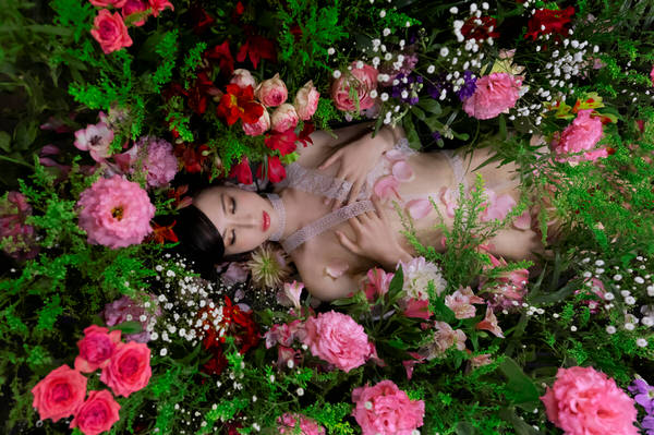 Photograph Haseo Hasegawa Flower 2 on One Eyeland