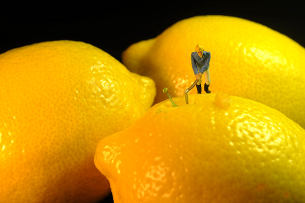 Photograph Leka Huie Lemon Juice Worker on One Eyeland