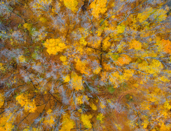 Photograph Marko Radovanovic Colorful World on One Eyeland