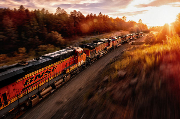 Photograph Blair Bunting Freight Train on One Eyeland