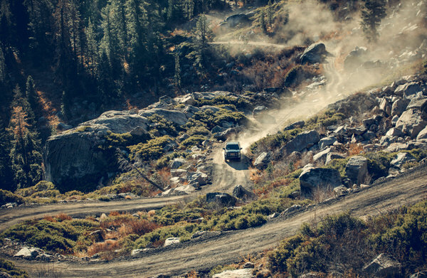 Photograph Patrick Curtet Wild on One Eyeland