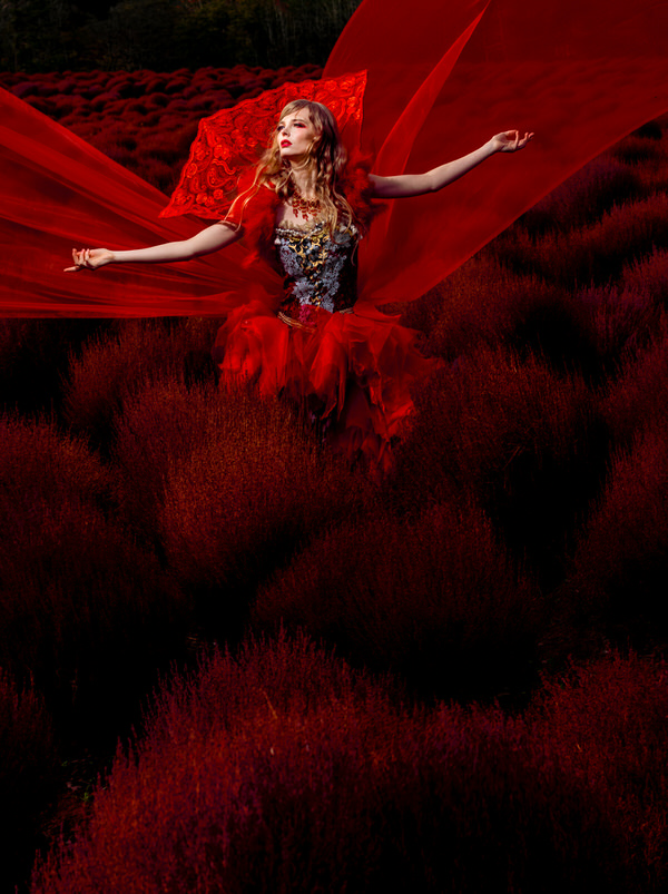 Photograph Haseo Hasegawa Kochia  Queen on One Eyeland