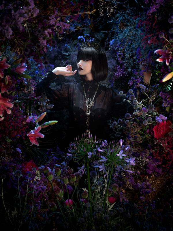 Photograph Haseo Hasegawa Queen on One Eyeland