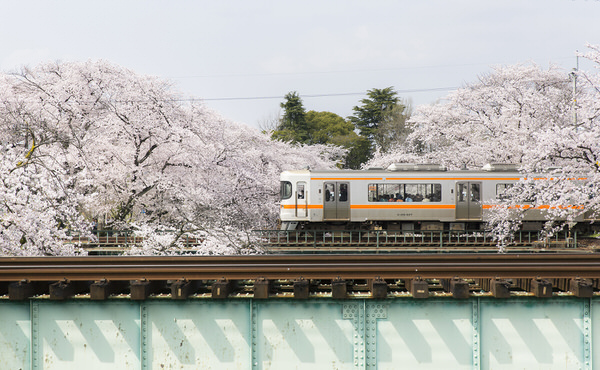 Photograph Kousuke Kitajima Sakura Train on One Eyeland