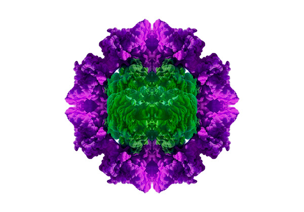 Photograph Joseba Barriola Chromatic Flower Vol Ii on One Eyeland