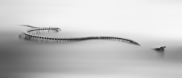 Photograph Eduard Gorobets Serpent D Ocean on One Eyeland