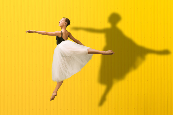 Photograph Marc Sabat Yellow Bird on One Eyeland