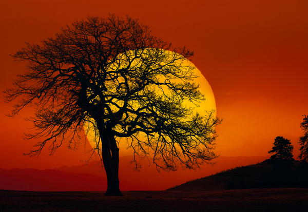 Photograph Peter Lik In Search Of The Sun on One Eyeland