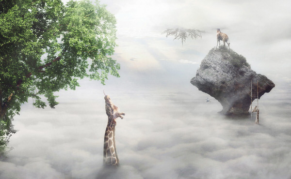 Photograph Kazutoshi Kawakami Bait In The Heavens on One Eyeland
