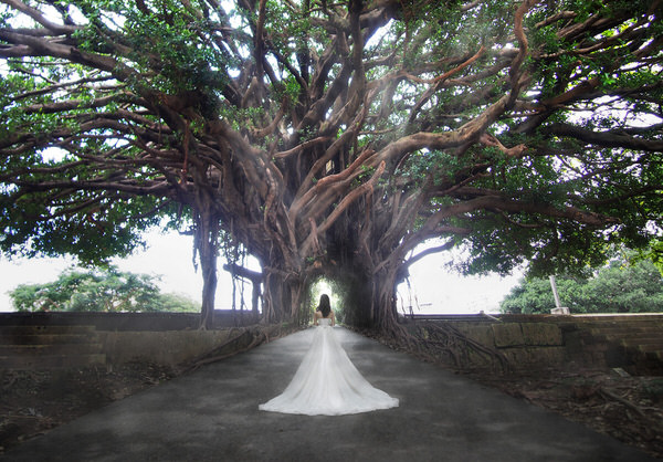 Photograph Kazutoshi Kawakami Tree Entrance on One Eyeland
