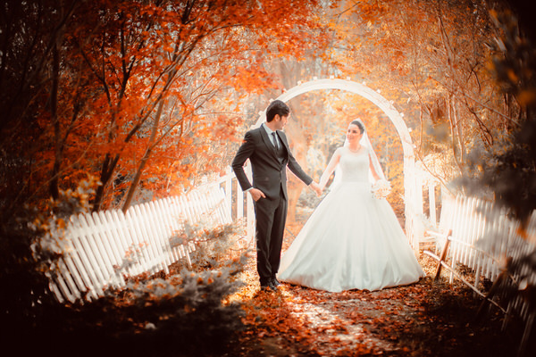 Photograph Soheil Soheili New Life In Fall on One Eyeland