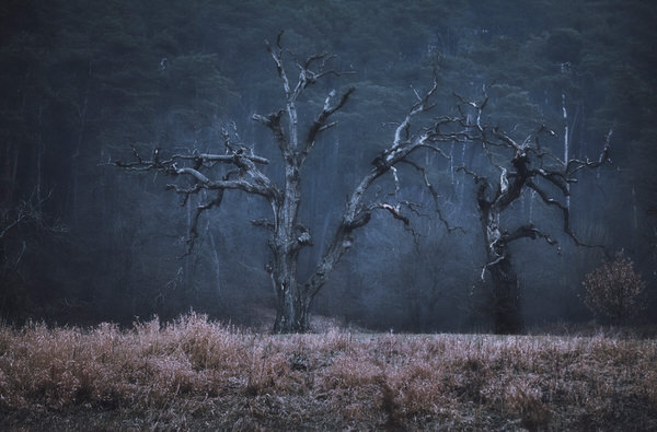 Photograph Rafal Kaniszewski Magic Wonderland on One Eyeland