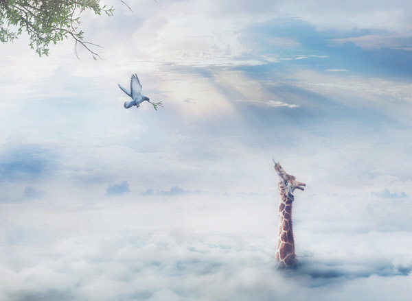 Photograph Kazutoshi Kawakami For You on One Eyeland