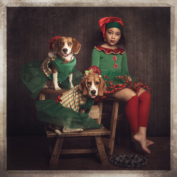 Photograph Paola Massa Christmas Card on One Eyeland