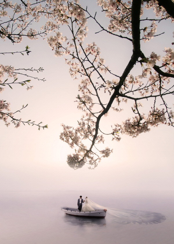 Photograph Kazutoshi Kawakami Cherry Blossom Wedding on One Eyeland