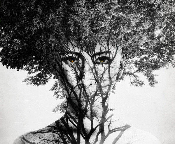 Photograph Kazutoshi Kawakami Lord Of Creation on One Eyeland