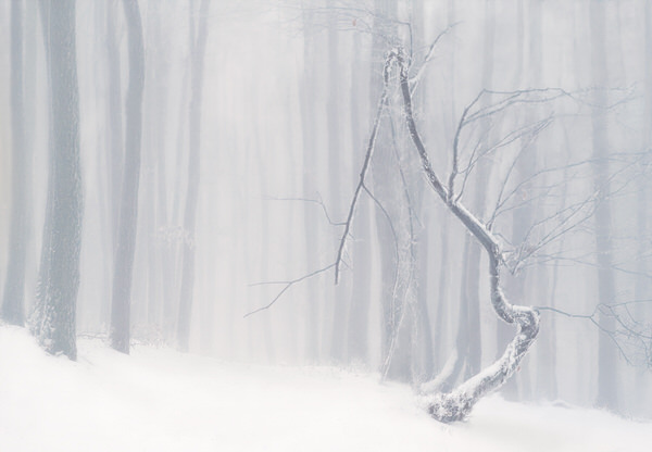 Photograph Peter Svoboda Broken on One Eyeland