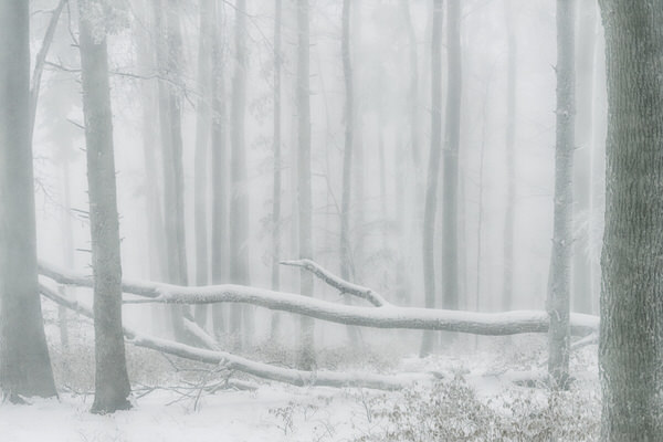 Photograph Peter Svoboda Broken 2 on One Eyeland