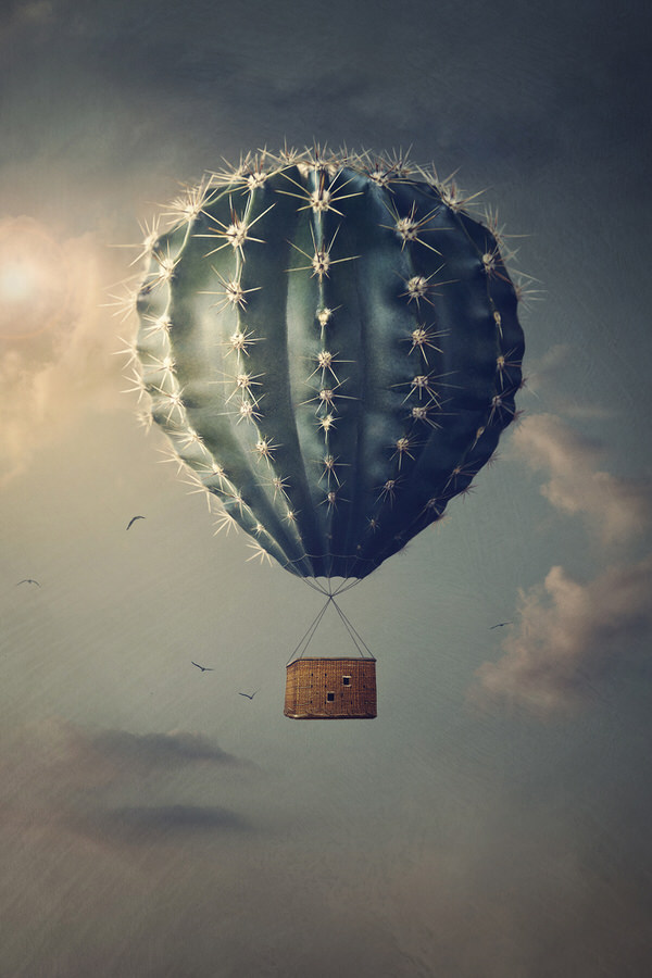 Photograph Teodora Dimitrova The Flight on One Eyeland
