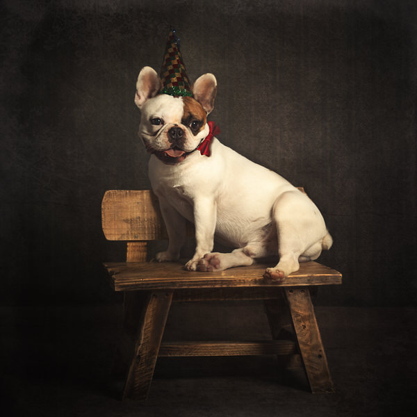 Photograph Paola Massa Happy New Year on One Eyeland