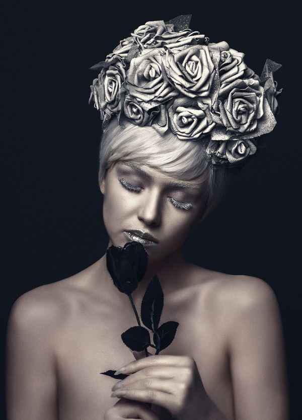 Photograph Arber Elezi Black Rose on One Eyeland