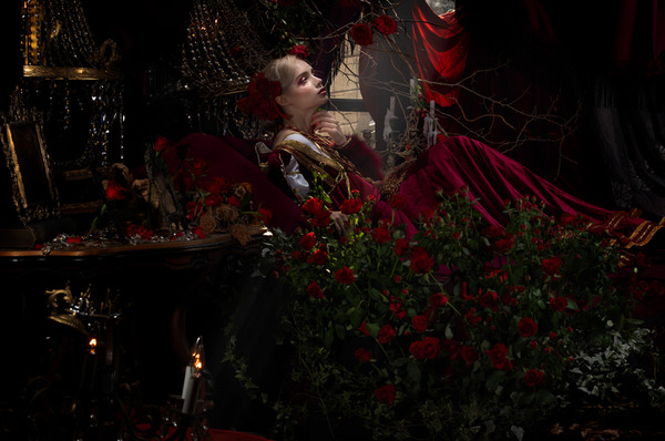 Photograph Haseo Hasegawa Roses 2 on One Eyeland