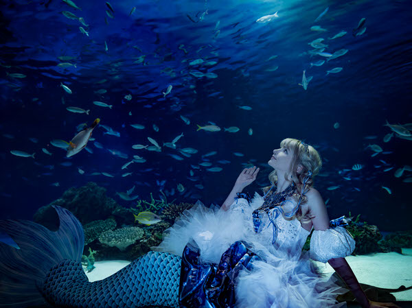 Photograph Haseo Hasegawa Aquarium on One Eyeland