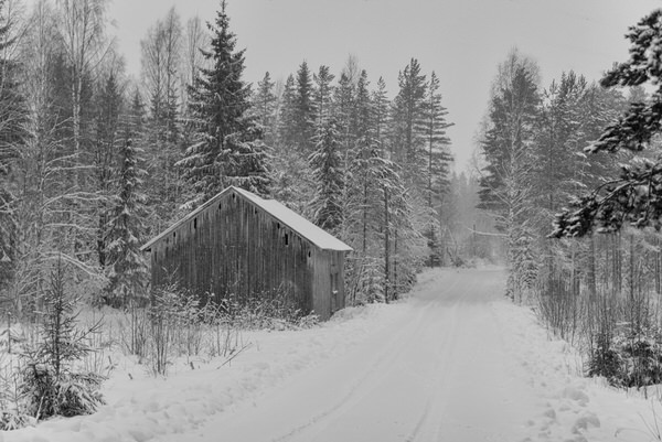 Photograph Tapio Hyvonen Bw_6 on One Eyeland