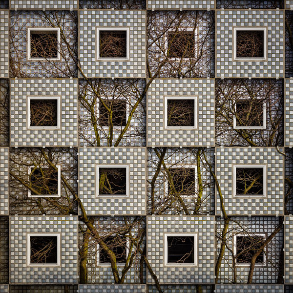 Photograph Paul Brouns Entangled Squares on One Eyeland