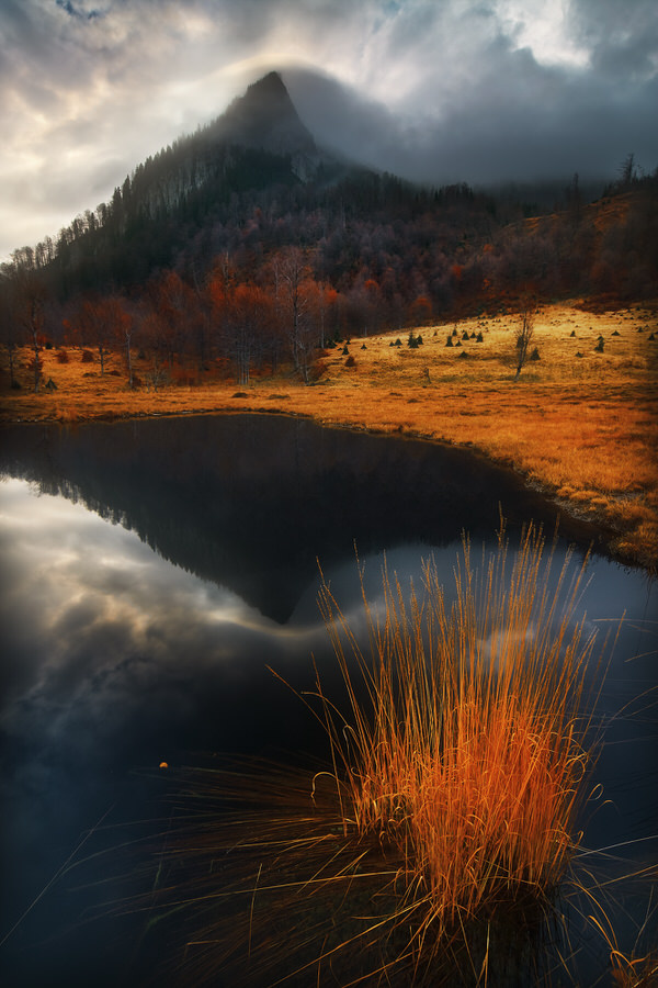 Photograph Zsolt Andras Szabo Autumn Pond on One Eyeland